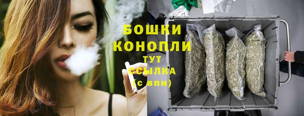 СК Снежногорск