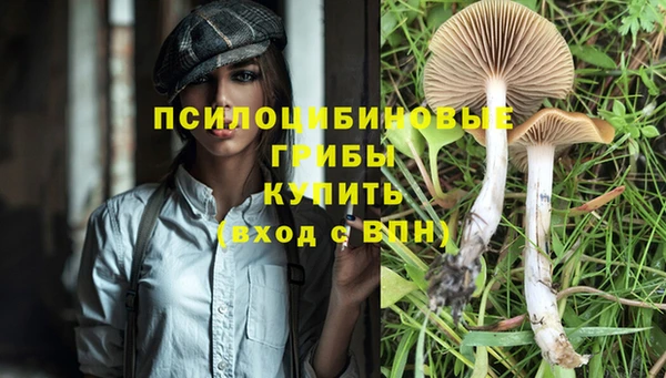 Альфа ПВП Алексеевка