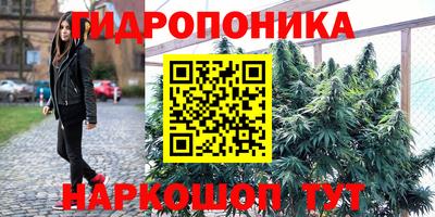 не бодяженный Новозыбков