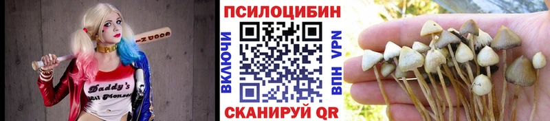 Псилоцибиновые грибы Psilocybe сколько стоит Арсеньев