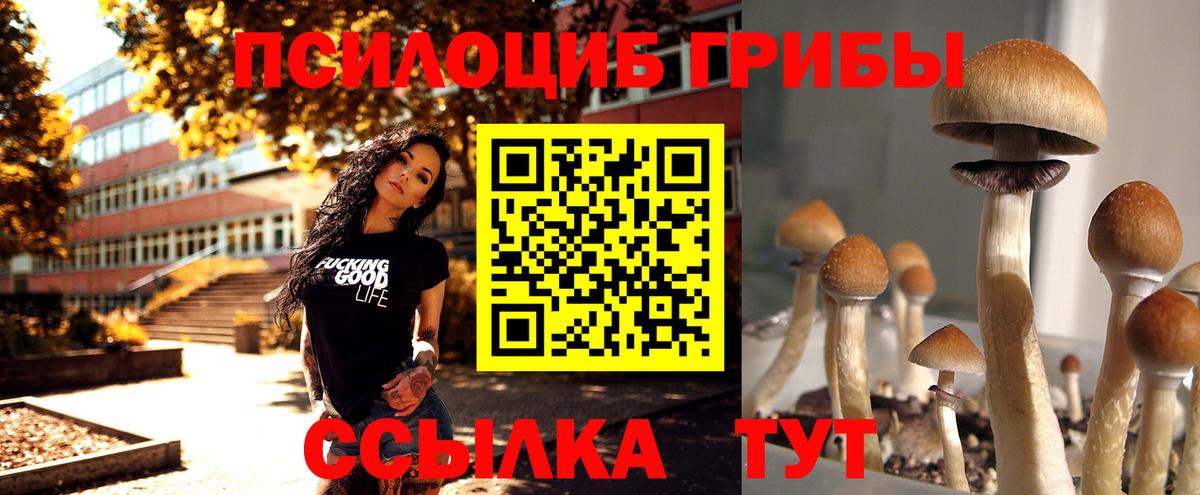 Псилоцибиновые грибы прущие грибы Арсеньев