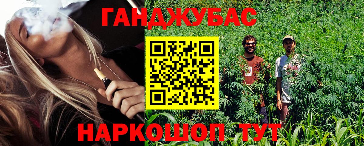 Бошки Шишки планчик Арсеньев